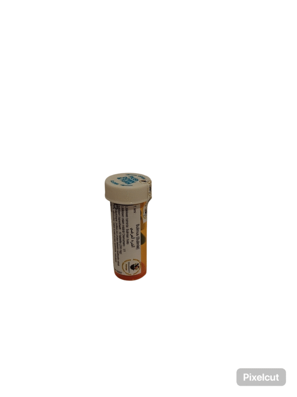 Bulimus (Bulimia)