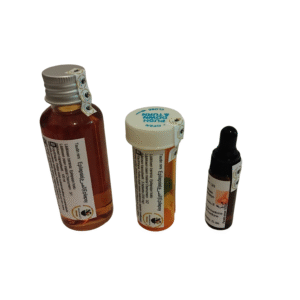 Epilepsia