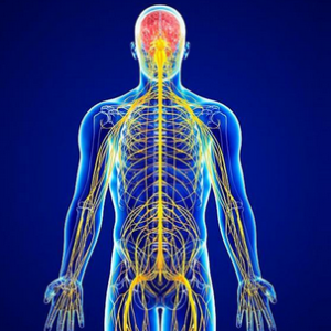 Neurologiset lääkkeet