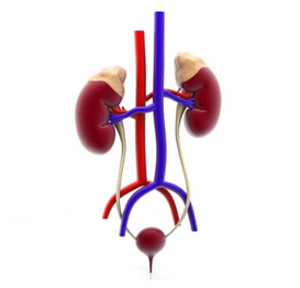 Urologiset lääkkeet